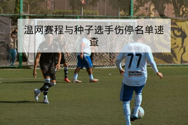 温网赛程与种子选手伤停名单速查