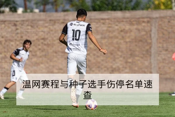 温网赛程与种子选手伤停名单速查